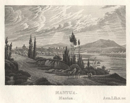 Mantua