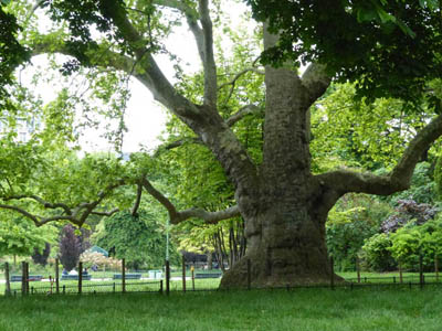 Parc Monceau